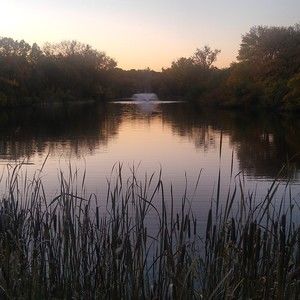 Meet your Posher, Mary ellen